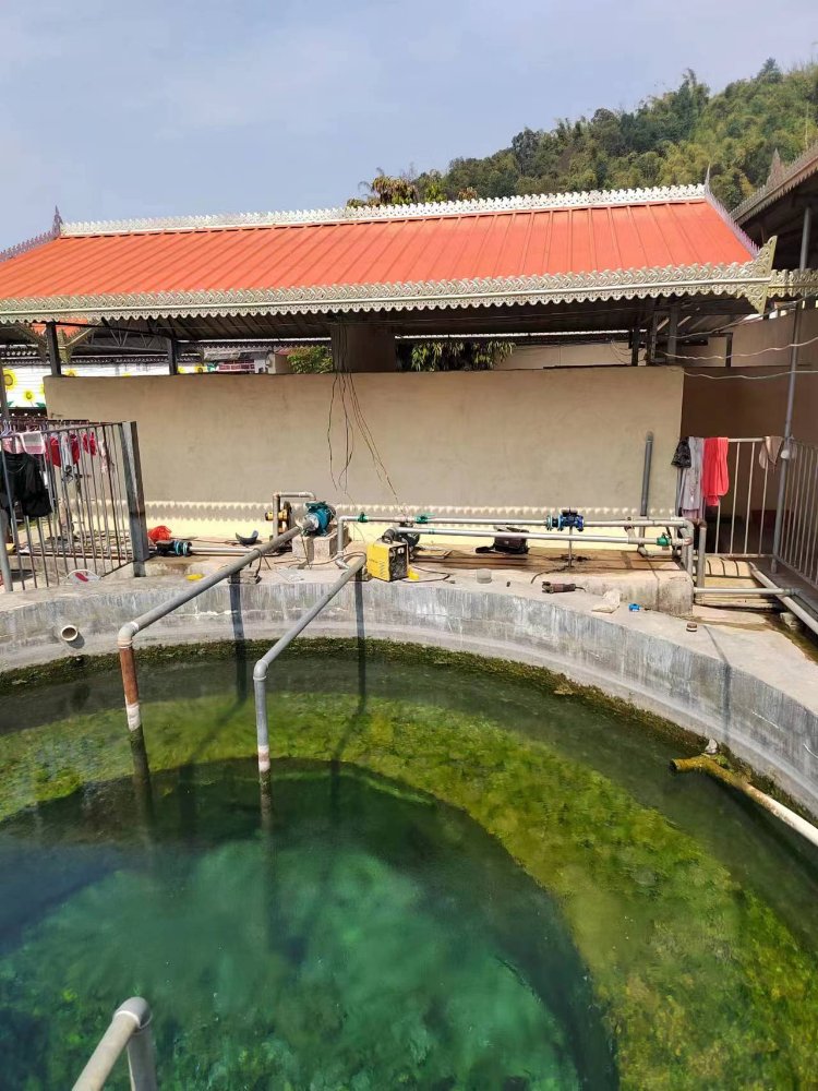 双声道插入式流量计传感器