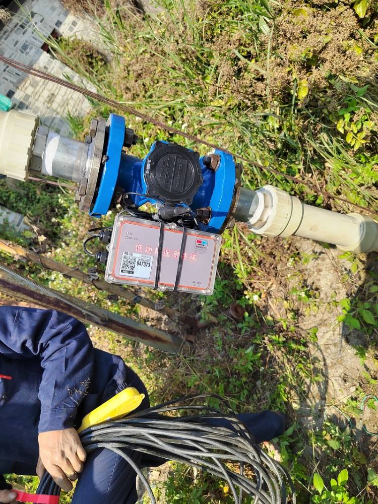 双声道插入式流量计传感器