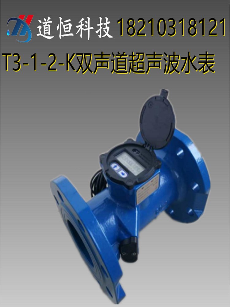 双声道<a href='http://www.tsdhkj.cn/Product/3048674345.html' target='_blank'>超声波水表</a>流量计